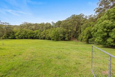 Farm Sold - QLD - Image Flat - 4560 - 4.45 Hectares: Views, Horse Friendly, Lush!  (Image 2)