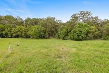 Farm Sold - QLD - Image Flat - 4560 - 4.45 Hectares: Views, Horse Friendly, Lush!  (Image 2)