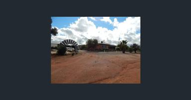 1116 Buckelboo Road, Kimba SA 5641
