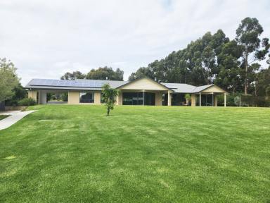 Farm Sold - SA - Naracoorte - 5271 - Simply Stunning, Sustainable Living, Solar/Battery, 2.42 Acres  (Image 2)