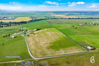 Farm For Sale - NSW - Singleton - 2330 - HIGHLY FERTILE IRRIGATION COUNTRY | RIVER FRONTAGE | 55.7 ACRES  (Image 2)