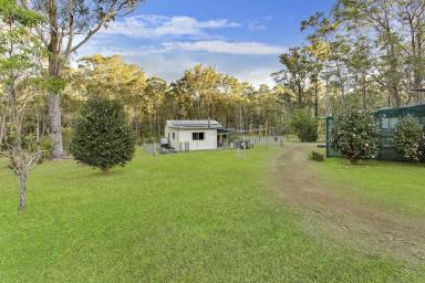 Farm For Sale - NSW - Hallidays Point - 2430 - EASY, RELAXED LIVING, A BEAUTIFUL LOCATION - Two Houses, One Acre, Close to the beach, with dual income, business and further development potential!  (Image 2)