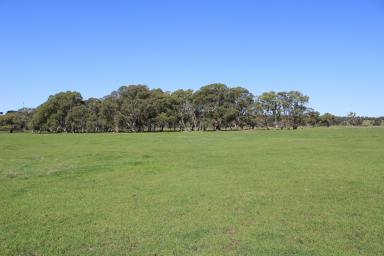 Farm Sold - SA - Naracoorte - 5271 - Netley Park - Not been offered since 1886.  (Image 2)