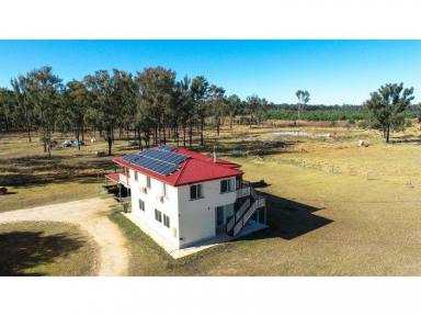 Farm Sold - QLD - Kingaroy - 4610 - Beautiful home, peaceful surrounds  (Image 2)