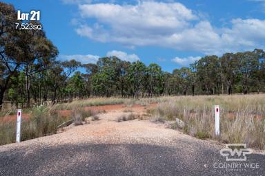 Farm Sold - NSW - Emmaville - 2371 - LAST LOTS LEFT!  (Image 2)