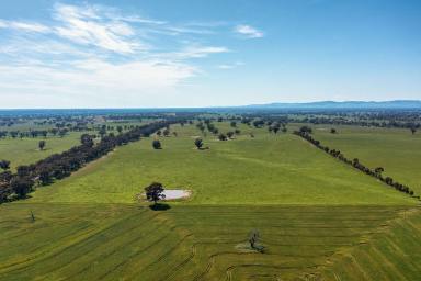 Farm Sold - VIC - Miepoll - 3666 - "North Park" A Versatile Cropping/Grazing Opportunity With 2.8km* Of Creek Frontage  (Image 2)