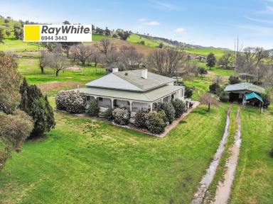 Farm Sold - NSW - Gundagai - 2722 - Homestead on 19 acres only 5 minutes from Gundagai  (Image 2)