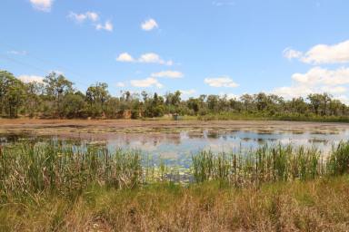 Farm For Sale - QLD - Gregory River - 4660 - 231 ACRES OF CULTIVATION WITH 3 WATER SOURCES  (Image 2)