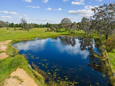 Farm Sold - NSW - Lake George - 2581 - Private Oasis Awaiting Your Own Personal Touch  (Image 2)