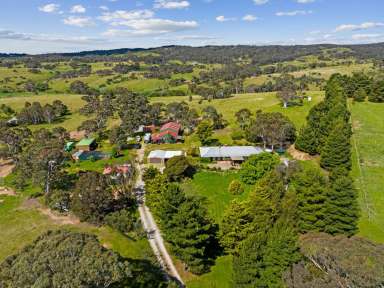 Farm Sold - NSW - Lake George - 2581 - Private Oasis Awaiting Your Own Personal Touch  (Image 2)