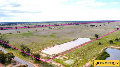 Farm Sold - NSW - Narrabri - 2390 - HUGE, FOUR-BEDROOM HOME ON 100 HECTARES, 5MEG LICENCE, CLOSE TO TOWN!  (Image 2)