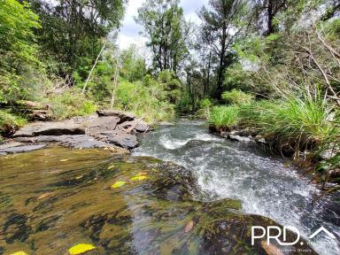 Farm Sold - NSW - Sawpit Creek - 2474 - Serene Lifestyle Retreat  (Image 2)