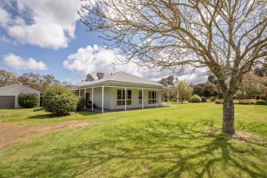 Farm Sold - VIC - Wando Bridge - 3312 - Picturesque Rural Lifestyle With Income  (Image 2)
