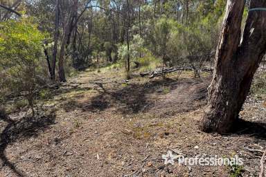 Farm Sold - VIC - Cottles Bridge - 3099 - LAND OF DREAMS  (Image 2)