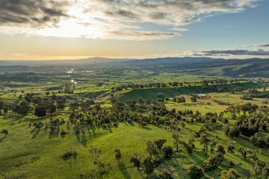 Farm For Sale - VIC - Mansfield - 3722 - World class views - fall in love with the lifestyle  (Image 2)
