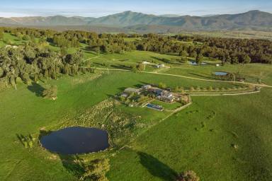 Farm For Sale - VIC - Mansfield - 3722 - World class views - fall in love with the lifestyle  (Image 2)