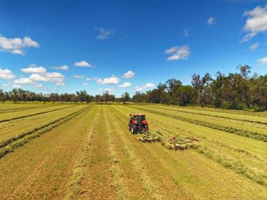 Farm Sold - QLD - Dixalea - 4702 - Don River Irrigation  (Image 2)