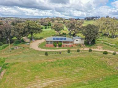 Farm Sold - NSW - Young - 2594 - 20acs Only A Few Minutes Drive To Town  (Image 2)