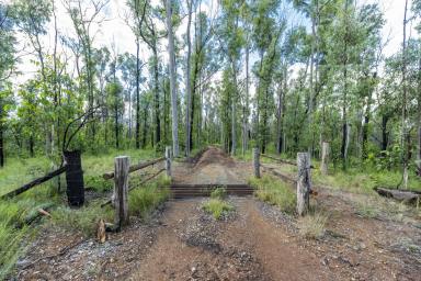 Farm Sold - NSW - Nymboida - 2460 - VACANT LAND WITH GREAT POTENTIAL!  (Image 2)