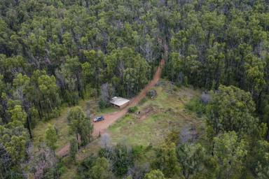 Farm Sold - NSW - Nymboida - 2460 - VACANT LAND WITH GREAT POTENTIAL!  (Image 2)