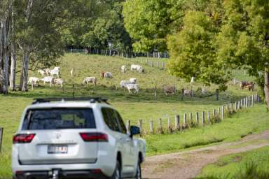 Farm Sold - QLD - Mothar Mountain - 4570 - "Wongarilla" - Secluded Grazing Hideaway and Water Security  (Image 2)