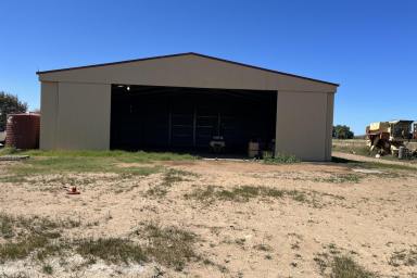 Farm Sold - WA - Greenough - 6532 - Great location-Great soil-Great shed  (Image 2)