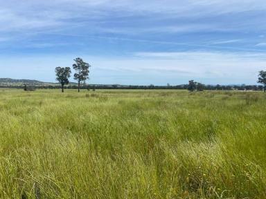 Farm Sold - NSW - Gooloogong - 2805 - Prime Mixed Farming and Grazing  (Image 2)