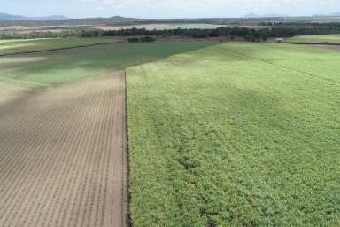 Farm Sold - QLD - Kelsey Creek - 4800 - "Auction" Two Whitsunday Cane Farms with excellent water for irrigation  (Image 2)