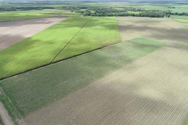 Farm Sold - QLD - Kelsey Creek - 4800 - "Auction" Two Whitsunday Cane Farms with excellent water for irrigation  (Image 2)