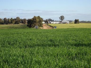 Farm Sold - WA - Piesseville - 6315 - Classic Wagin Sheep and Cropping Country  (Image 2)