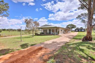 Farm Sold - VIC - Irymple - 3498 - Ideal Rural Living  (Image 2)