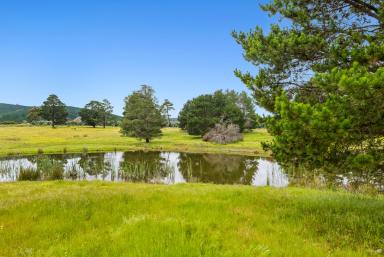 Farm Sold - WA - Nannup - 6275 - PICTURESQUE ACREAGE WITH BLACKWOOD RIVER FRONTAGE  (Image 2)