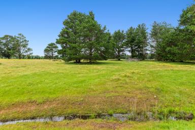 Farm Sold - WA - Nannup - 6275 - PICTURESQUE ACREAGE WITH BLACKWOOD RIVER FRONTAGE  (Image 2)