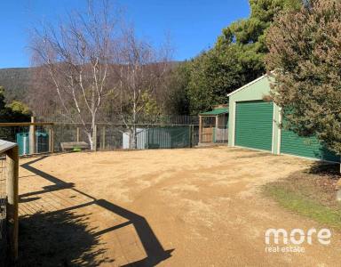 Farm Sold - TAS - Collinsvale - 7012 - Country living at its best!  (Image 2)
