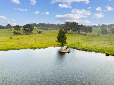 Farm Sold - NSW - Goulburn - 2580 - ONE OF THE BEST  (Image 2)
