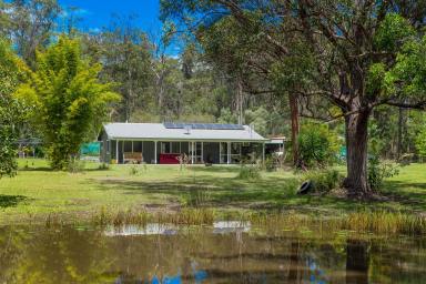 Farm Sold - NSW - South Kempsey - 2440 - Eco-friendly Bush Retreat Only 10 Minutes to Coast  (Image 2)