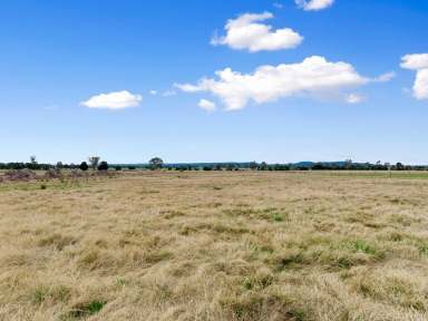 Farm For Sale - VIC - Lindenow South - 3875 - FANTASTIC ACREAGE ALLOTMENT  (Image 2)