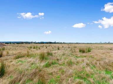 Farm Sold - VIC - Lindenow South - 3875 - BEAUTIFUL RURAL SETTING  (Image 2)