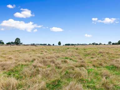 Farm For Sale - VIC - Lindenow South - 3875 - NORTHERLY VIEWS  (Image 2)