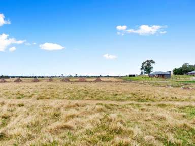 Farm For Sale - VIC - Lindenow South - 3875 - COUNTRY LIFESTYLE DREAM  (Image 2)