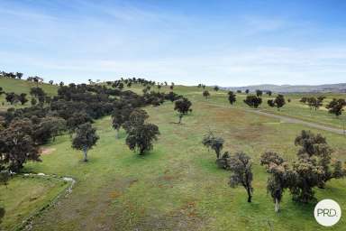 Farm Sold - NSW - Wirlinga - 2640 - IDYLLIC LIFESTYLE ALLOTMENT  (Image 2)