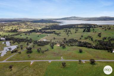 Farm Sold - NSW - Wirlinga - 2640 - IDYLLIC LIFESTYLE ALLOTMENT  (Image 2)