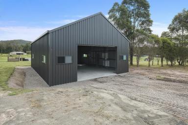 Farm Sold - NSW - Clarence Town - 2321 - Shed with 3 phase power  (Image 2)