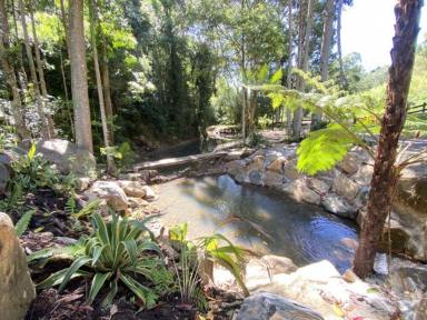 Farm Sold - QLD - Kin Kin - 4571 - ULTIMATE PRIVACY AND ADVENTURE IN THE NOOSA HINTERLAND  (Image 2)