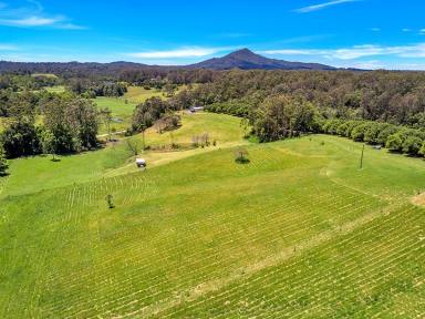 Farm Sold - NSW - Valla - 2448 - Location, Lifestyle and Production...  (Image 2)