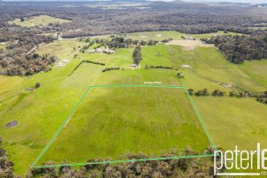 Farm Sold - TAS - Clarence Point - 7270 - Another Property SOLD SMART by Peter Lees Real Estate  (Image 2)
