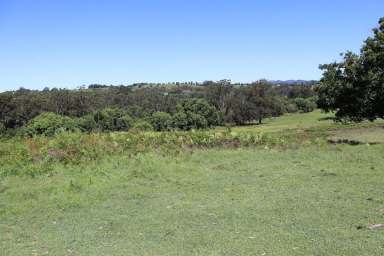 Farm Sold - QLD - Veteran - 4570 - PRIVACY PLUS VIEWS  (Image 2)