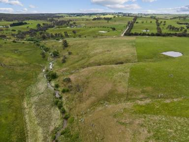 Farm Sold - NSW - Crookwell - 2583 - Opportunity Awaits  (Image 2)