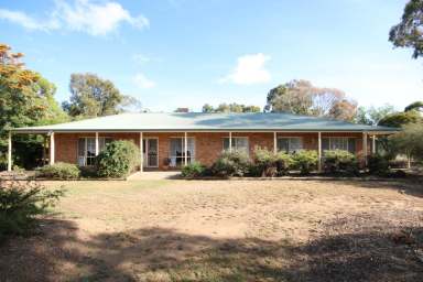 Farm Sold - VIC - Rochester - 3561 - FAMILY HOME, TRADESMAN SHEDDING, GRANNY FLAT  (Image 2)