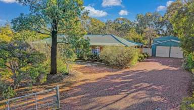 Farm Sold - VIC - Rochester - 3561 - FAMILY HOME, TRADESMAN SHEDDING, GRANNY FLAT  (Image 2)